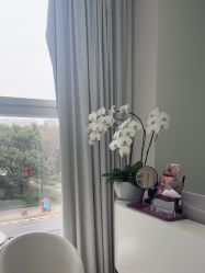 -agge蛋白医美