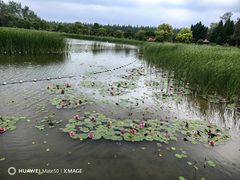-东平国家森林公园