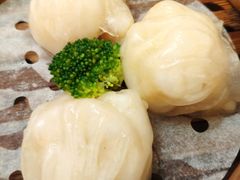 -东方印象大酒楼(拱北店)