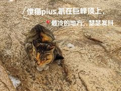 -崂山巨峰游览区