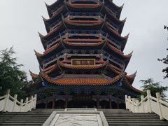 -铁山坪森林公园