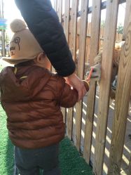 -萌宠亲子动物乐园(槐房万达店)