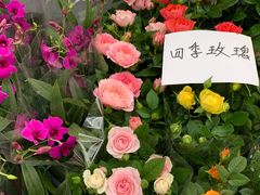 -秦美花卉(天朗·莱茵小城2期店)