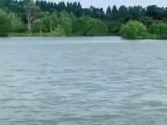 -东寨港红树林旅游区