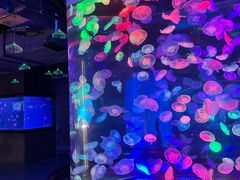 -合肥海洋世界