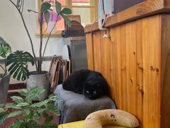 -春风十里咖啡馆