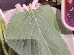 -梨花自助烤肉(西三旗万象汇黑金店)