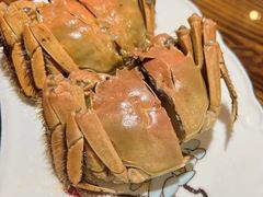 -呼吸森林·生态农庄农家乐私房菜