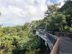 -金鸡山公园