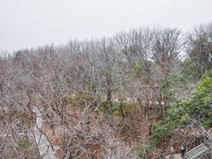-宝通禅寺