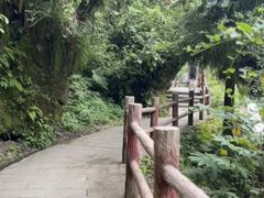 -西岭雪山大飞水景区