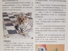 -瑞派申生动物医院·24H夜诊·国际动物医疗中心·骨外科(吴中路店)