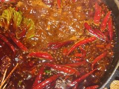 -蜀大侠火锅(总府路店)