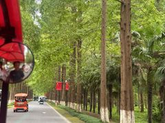 -黄海国家森林公园