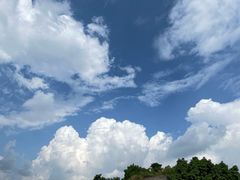 -胖碗火锅(观音桥店)