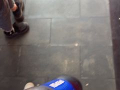 -新概念来凤鱼(璧山店)