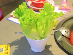 -生活如沸·顺德水牛奶火锅(大学路店)