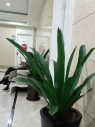 -重庆军科整形美容医院