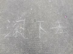 -风云岭森林公园