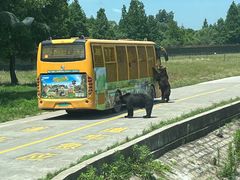 -上海野生动物园