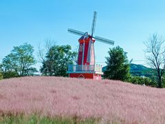 -羊亭河湿地公园