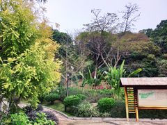 -仙岳公园