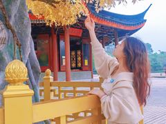 -广东圆玄道观