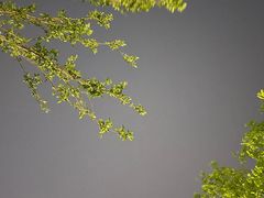 -无锡梅园公园