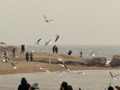 -老虎石海上公园