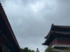 -天津妈祖文化园