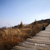 把车开上百花山