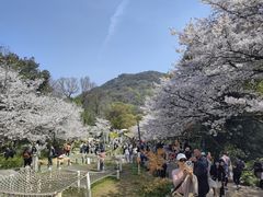 -杭州少年儿童公园
