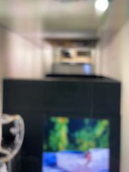 -付军剪艺JF ProSalon