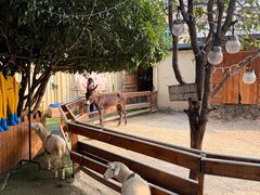 -HERRE·FARM 赫尔露营农场·团建聚会包场