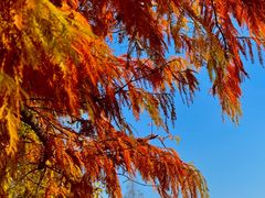 -南京市江宁方山