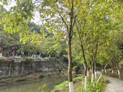 -广州白江湖森林公园