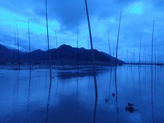 -北岐滩涂