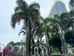 -黄金海岸环岛路