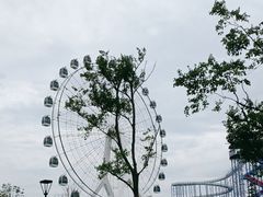 -七桥瓮公园