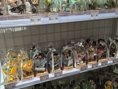 -KKV(重庆光环购物公园店)