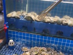 -鹿客臻鲜海鲜自助餐厅(永旺店)