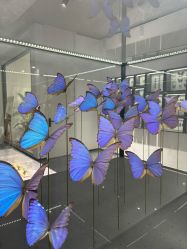 -酷嗒动物文化乐园(cutezoo西溪乐天城店)