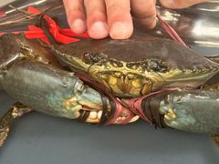 -Ministry of Crab•MOC(交子大道店)