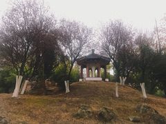 -南京邮电大学(仙林校区)