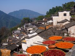 -篁岭景区