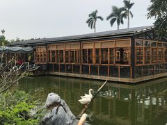 -花溪雨·森林餐厅(石基店)