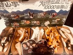 -芸山季·云南山珍菌火锅(南翔印象城MEGA店)