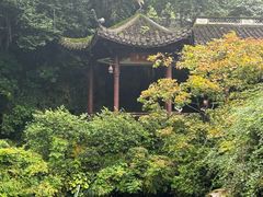 -杭州黄龙洞