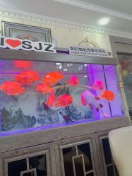 点击看大图 -安院长·产后恢复·徒手骨盆(先天下店)