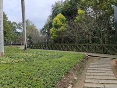 -广州市流溪河国家森林公园